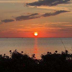 Photo #4 of 161 GOLDEN BEAR CIRCLE, CAPE CHARLES, VA 0.4 acres