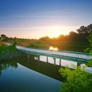 Photo #8 of 161 GOLDEN BEAR CIRCLE, CAPE CHARLES, VA 0.4 acres