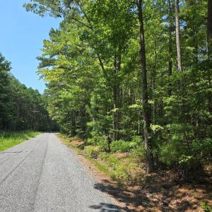 Photo #6 of PLANTATION RD, ONANCOCK, VA 33.6 acres