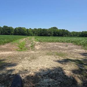 Photo #9 of PLANTATION RD, ONANCOCK, VA 33.6 acres