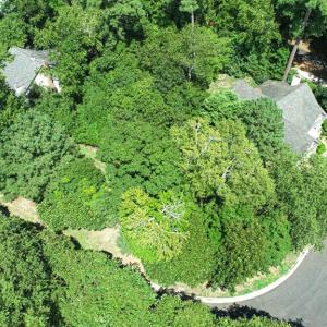 Photo #10 of 11 CARISSA CT, CAPE CHARLES, VA 0.2 acres