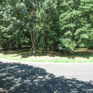Photo #11 of 11 CARISSA CT, CAPE CHARLES, VA 0.2 acres