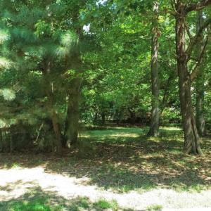 Photo #8 of 11 CARISSA CT, CAPE CHARLES, VA 0.2 acres