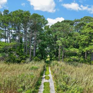 Photo #11 of LOT G WALTER ST, QUINBY, VA 3.8 acres