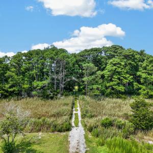 Photo #9 of LOT G WALTER ST, QUINBY, VA 3.8 acres