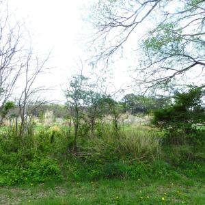 Photo #2 of Lot 158 SPOONBILL LN, MACHIPONGO, VA 0.8 acres