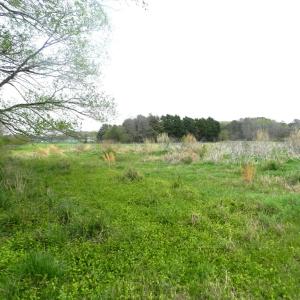 Photo #3 of Lot 158 SPOONBILL LN, MACHIPONGO, VA 0.8 acres