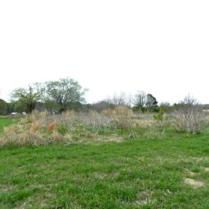 Photo #4 of Lot 158 SPOONBILL LN, MACHIPONGO, VA 0.8 acres