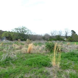 Photo #5 of Lot 158 SPOONBILL LN, MACHIPONGO, VA 0.8 acres