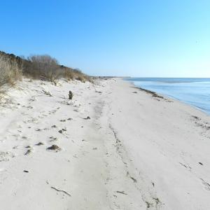 Photo #7 of Lot 158 SPOONBILL LN, MACHIPONGO, VA 0.8 acres