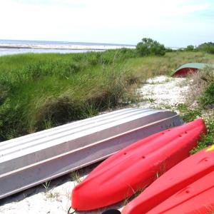 Photo #8 of Lot 158 SPOONBILL LN, MACHIPONGO, VA 0.8 acres