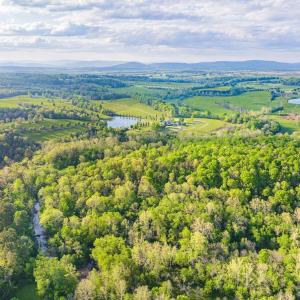 Photo #6 of 6308 JEFFERSON MILL RD, SCOTTSVILLE, VA 289.4 acres