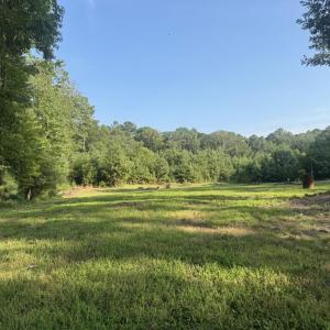 Photo #2 of BOSTON RD, PAINTER, VA 9.8 acres