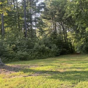 Photo #3 of BOSTON RD, PAINTER, VA 9.8 acres