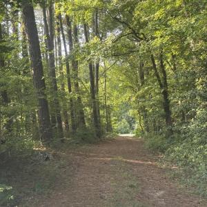 Photo #5 of BOSTON RD, PAINTER, VA 9.8 acres