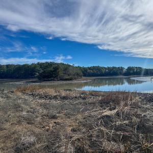 Photo #16 of lot 3 ADAMS HILL DR, ACCOMAC, VA 2.5 acres