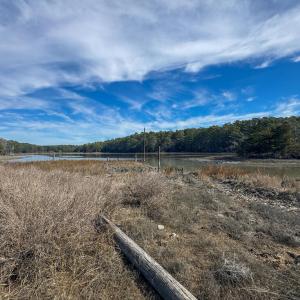 Photo #17 of lot 3 ADAMS HILL DR, ACCOMAC, VA 2.5 acres