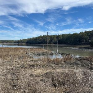 Photo #18 of lot 3 ADAMS HILL DR, ACCOMAC, VA 2.5 acres