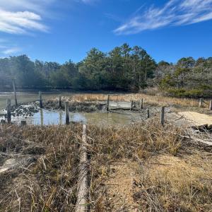 Photo #19 of lot 3 ADAMS HILL DR, ACCOMAC, VA 2.5 acres