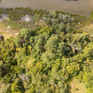 Photo #4 of lot 3 ADAMS HILL DR, ACCOMAC, VA 2.5 acres