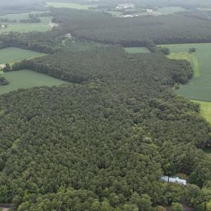 Photo #2 of Lot 3 RACE TRACK RD, MELFA, VA 2.2 acres