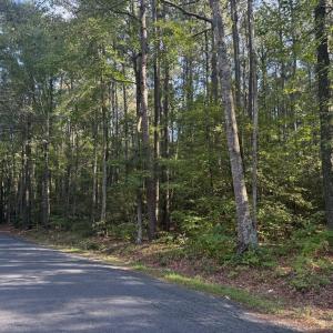 Photo #3 of Lot 3 RACE TRACK RD, MELFA, VA 2.2 acres