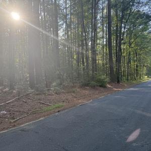 Photo #4 of Lot 3 RACE TRACK RD, MELFA, VA 2.2 acres