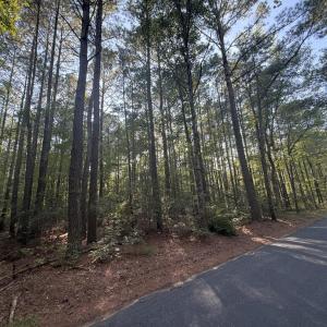 Photo #5 of Lot 3 RACE TRACK RD, MELFA, VA 2.2 acres