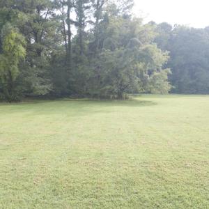 Photo #3 of Lot 179 DAVEY JONES BLVD, GREENBACKVILLE, VA 9,983.0 acres