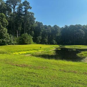 Photo #4 of 101 COVENTON LANE, HORNTOWN, VA 3.0 acres