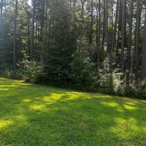 Photo #3 of 102 COVENTON LANE, HORNTOWN, VA 3.0 acres