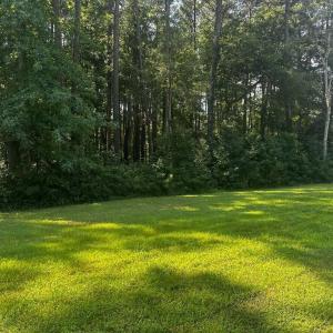 Photo #8 of 102 COVENTON LANE, HORNTOWN, VA 3.0 acres