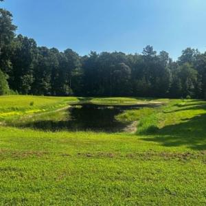 Photo #3 of 101-102 COVENTON LANE, HORNTOWN, VA 6.0 acres