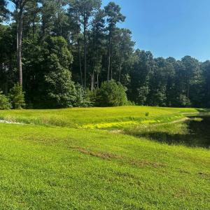 Photo #5 of 101-102 COVENTON LANE, HORNTOWN, VA 6.0 acres