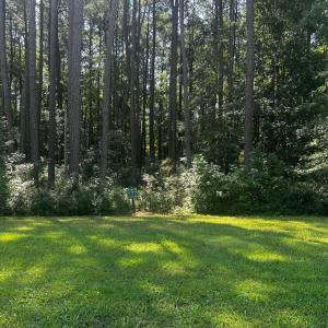 Photo #6 of 101-102 COVENTON LANE, HORNTOWN, VA 6.0 acres
