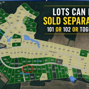 Photo #8 of 101-102 COVENTON LANE, HORNTOWN, VA 6.0 acres