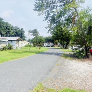 STREET VIEW 2