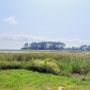 WATERVIEW-MIDDLE