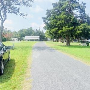 STREET VIEW 1