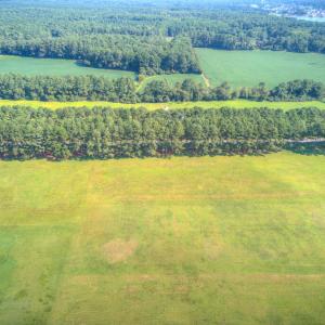 Photo #9 of 16 CORBIN HALL LN, HORNTOWN, VA 3.0 acres
