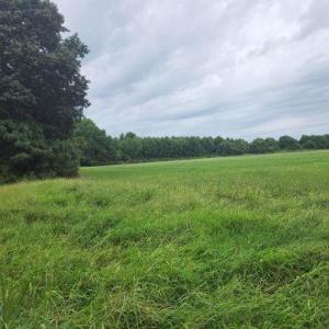 Photo #11 of Lot1-A-1 OLD NECK RD, EXMORE, VA 30.0 acres
