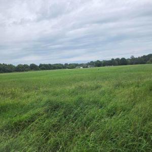Photo #12 of Lot1-A-1 OLD NECK RD, EXMORE, VA 30.0 acres