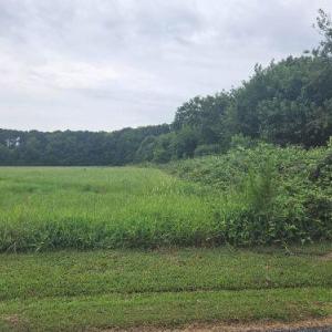 Photo #13 of Lot1-A-1 OLD NECK RD, EXMORE, VA 30.0 acres