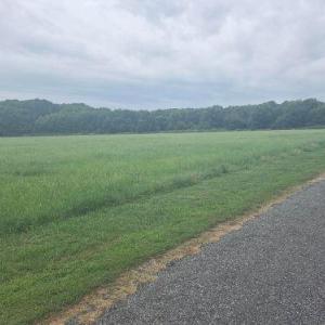 Photo #14 of Lot1-A-1 OLD NECK RD, EXMORE, VA 30.0 acres