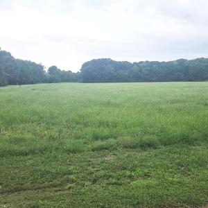 Photo #15 of Lot1-A-1 OLD NECK RD, EXMORE, VA 30.0 acres