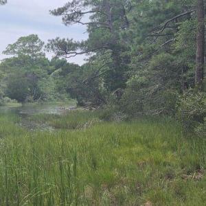 Photo #2 of Lot1-A-1 OLD NECK RD, EXMORE, VA 30.0 acres