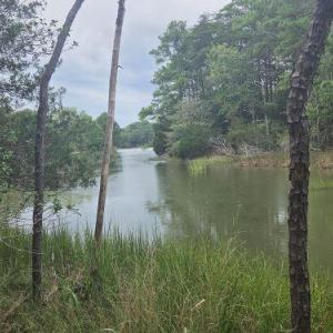 Photo #3 of Lot1-A-1 OLD NECK RD, EXMORE, VA 30.0 acres