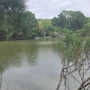 Photo #4 of Lot1-A-1 OLD NECK RD, EXMORE, VA 30.0 acres