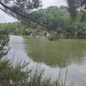 Photo #5 of Lot1-A-1 OLD NECK RD, EXMORE, VA 30.0 acres