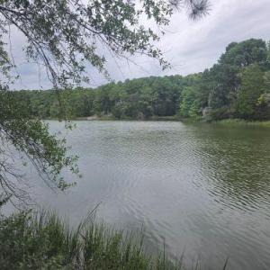 Photo #7 of Lot1-A-1 OLD NECK RD, EXMORE, VA 30.0 acres